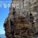 이중섭거리 명동로상가 네이버블로그