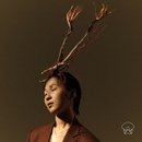 핑크노이즈 이미지