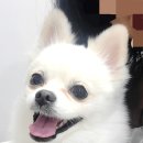 범물근린공원 이미지