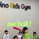 디노 키즈짐 이미지