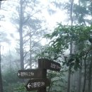 고성산 정상 전망대 이미지