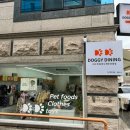 도기다이닝 이미지