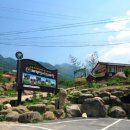 산야초마을 이미지