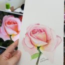 수채화캘리그라피 이미지