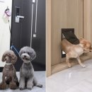 솔메이트 이미지