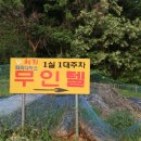 파라다이스무인텔 이미지