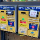 카미 플랙스 이미지