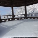 금남목장 이미지