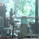 까페금수원