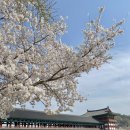 경희 고성 한의원 이미지