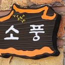 바다소풍 이미지