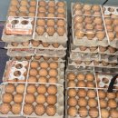 홍천축산물 | 홍천 한우 &#39;다드림 축산물 도/소매 직판장&#39; 방문 후기, 홍천 정육점