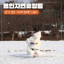 경기도 아이와 함께하는 주말 나들이 추천 용인자연휴양림(용인유아숲, 오감의 숲, 매점)
