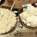 새반도정 이미지