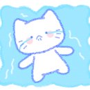현풍닭칼국수경산 이미지