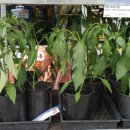 제1벧엘농장 이미지