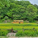 천진암로 이미지