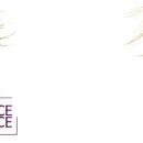 FACE안경원 이미지