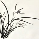사군자 Daum카페