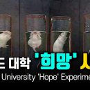 이** 이미지