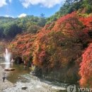 (주)전국관광