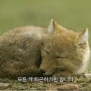 계절이야기 이미지
