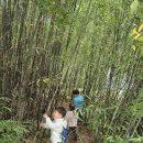 10월 셋째주 생태놀이(용담정 가을곤충 찾기/덕숭사 동네 한바퀴/볏짚 밟기/수요신라 이야기/찰흙놀이/흙동산 놀이/풍물놀이) 이미지