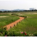 전곡항 공원 이미지