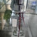 해피명품세탁 | [뇨뇸쀼] 일상이 특별해서 더 받을 필요는 없고 내 결혼, 프로포즈는 내가 해