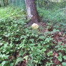 박은숙농장 이미지