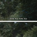 아리아 여관 이미지