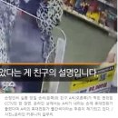 "구조사가 발견한 폰이 친구 것"…억측의 늪에 빠진 누리꾼들 이미지