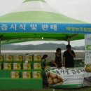 벌교참다래직판장 이미지