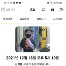 용인대 크는나무 태권도장 이미지