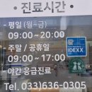 삼성동물종합병원 | 산타 살찌우러 갔다가 깜짝 놀란 속초동물병원 속초 삼성동물메디컬센터 방문 후기!