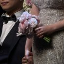플레타플레르 이미지