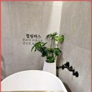 힐링바스 이미지