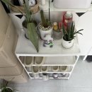 요온네일 이미지