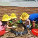 금릉초교(병설) 이미지