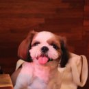 피스펍 이미지