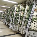 평화치과기공소 이미지