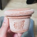 천년목 다육농장