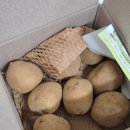 (주)한국킴스미디어 | 주간 일기 2/1 ~ 2/7 하남 아쿠아필드 찜질방 데이트 재밌쟈냐