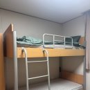 피톤치드 | 피톤치드방향제 후기 추천이유