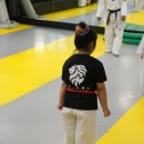 경희대세계로태권도 이미지