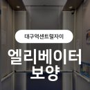 대구역 센트럴자이 | 대구역센트럴자이 엘리베이터 보양 시공 후기 (플라베니아로 깔끔하게!)
