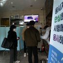 안심국시 이미지