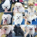 랄라펫살롱 이미지