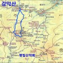 지도 이미지