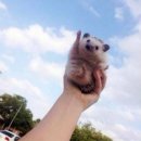 미라클 헬스 이미지